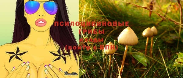 дмт Арсеньев