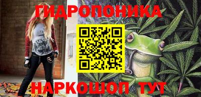 эйфоретик Абинск