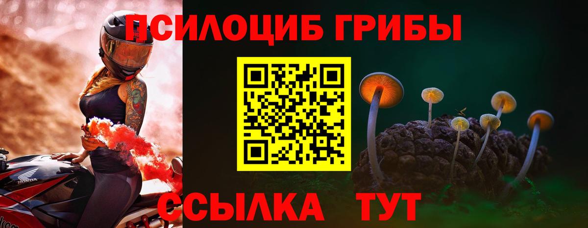 продажа наркотиков  Псилоцибиновые грибы Psilocybine cubensis  Вход с VPN  Амурск 