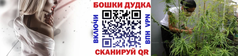 купить наркотик  Амурск  ссылка на мегу зеркало  Канабис LSD WEED 